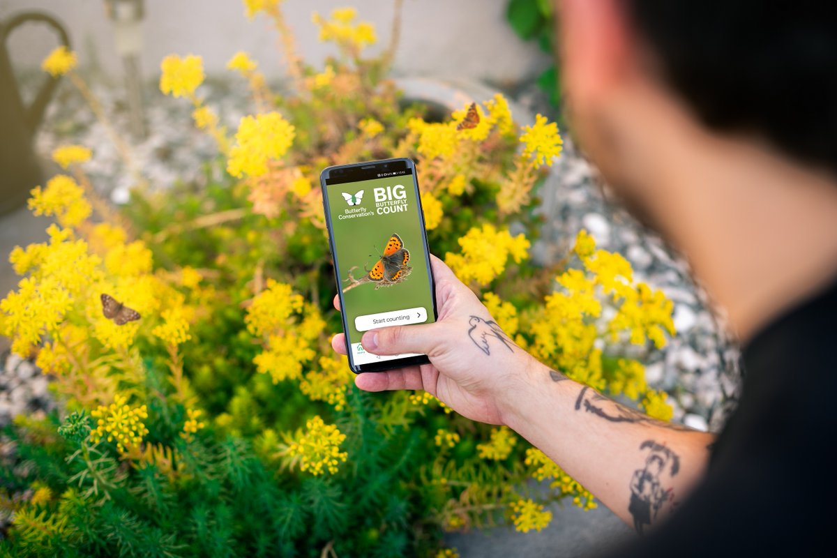 savebutterflies's tweet image. We only need 1,000 more counts to make 2020 the biggest #ButterflyCount ever! Can you help us reach our target?

Add your butterflies to our map, take part today 👉 bigbutterflycount.org