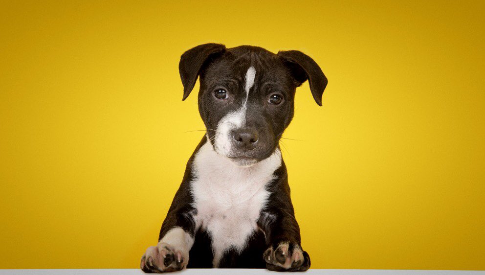 Question Of The Day Askqotd Twitter