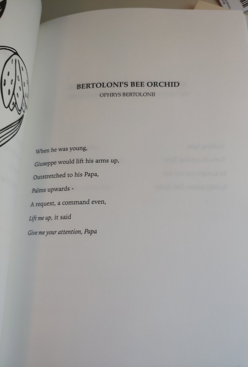 JulianFiennes's tweet image. Bertoloni's Bee Orchid from Wildflowers Volume 1.

US: amazon.com/dp/B08B693SZH
UK: 

Paperback available with free delivery using code JUNE here: understudypublishing.com/shop