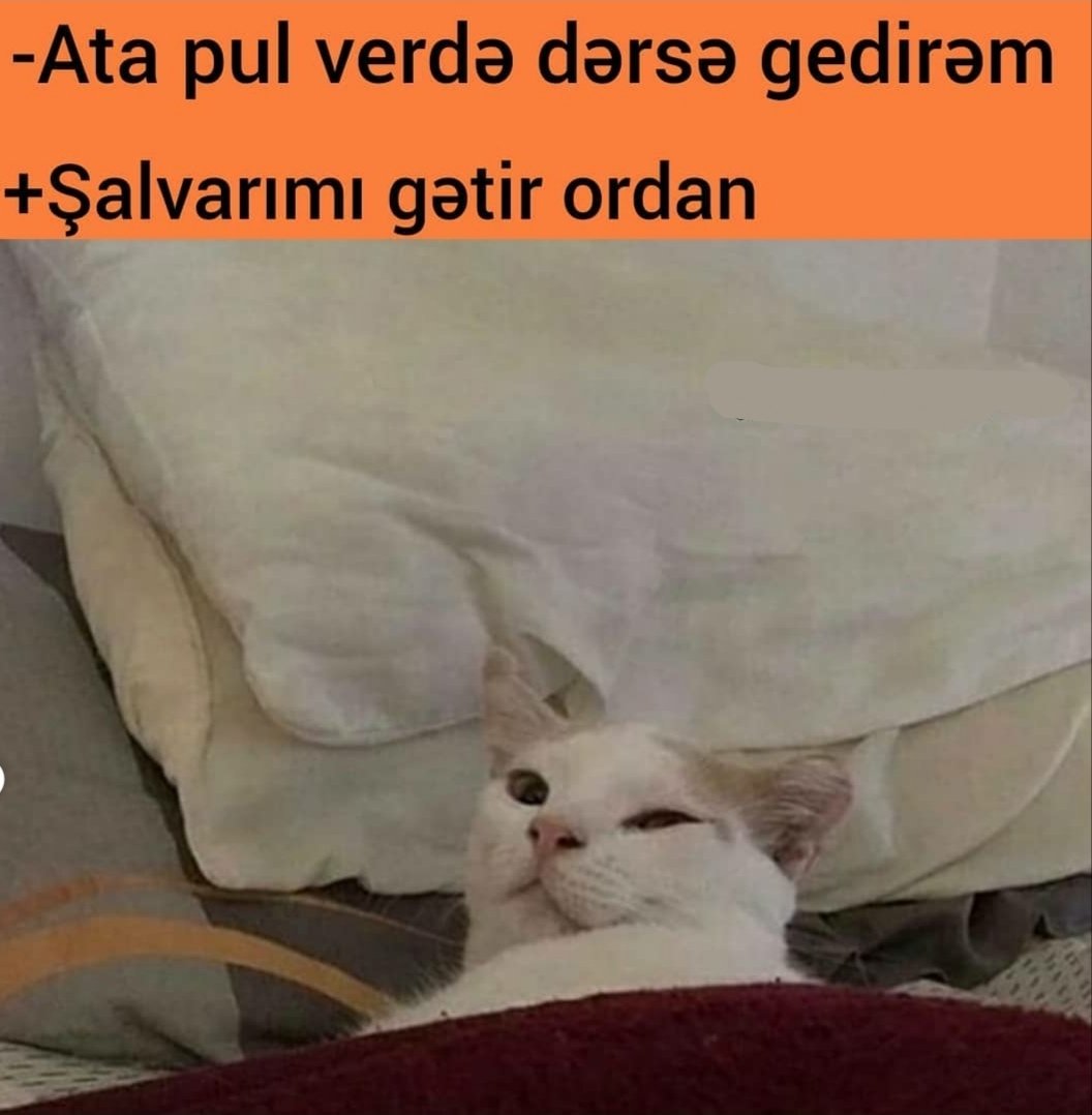 Seher seher atamnan pul isdiyende yuxulu halda mene eyni bu formada baxir 😂