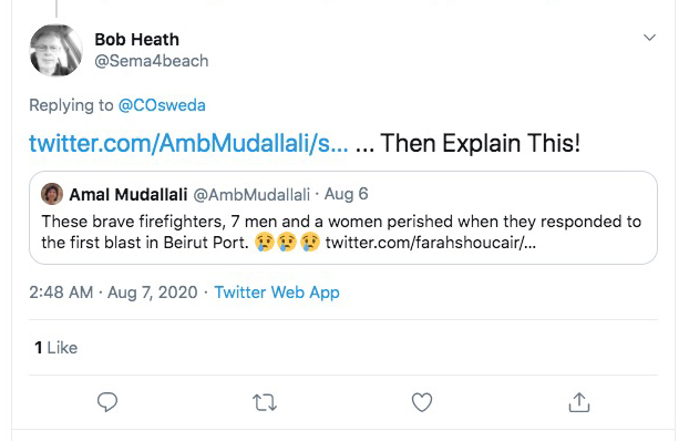 ThreadI've said that there were no firefighters at the Beirut port when the event happened.Here's a question: