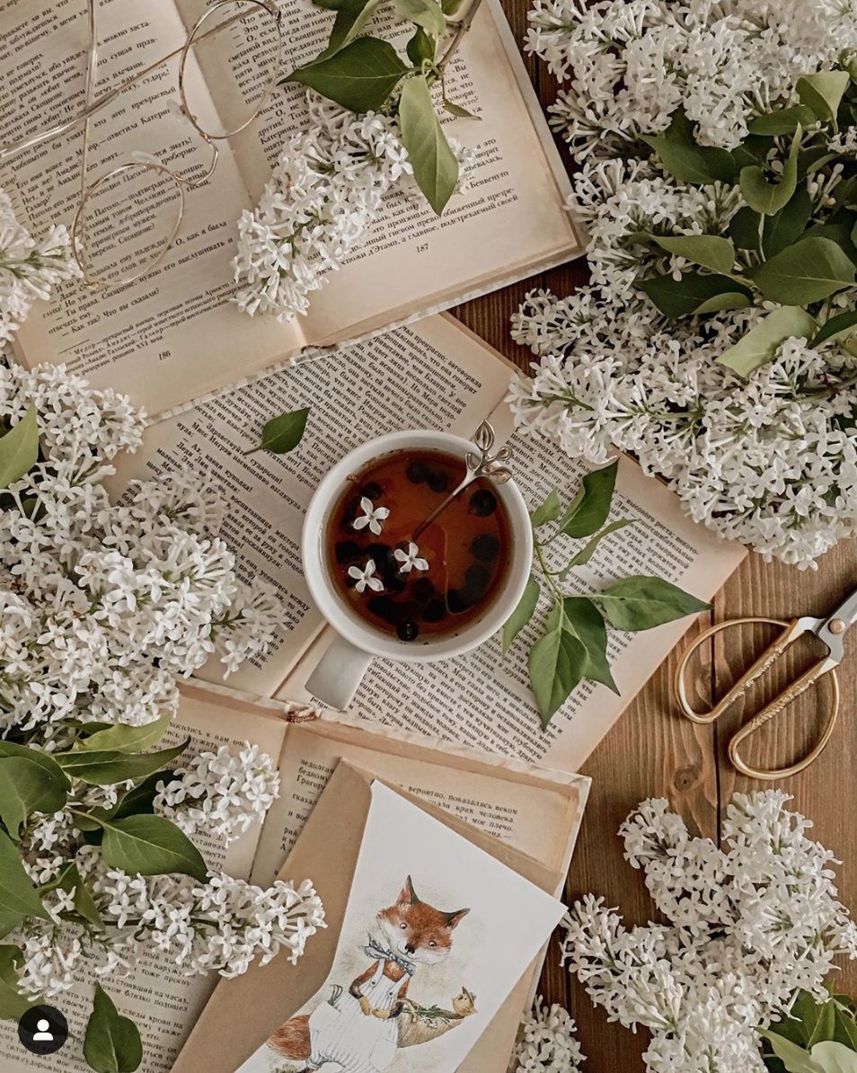 TeaProUK's tweet image. Love tea? (iced tea counts as well 🙃) 

Then you NEED to check out and follow these amazing tea Instagram accounts!
teapro.co.uk/most-beautiful…

#FridayFeeling #teapro #FridayMotivation