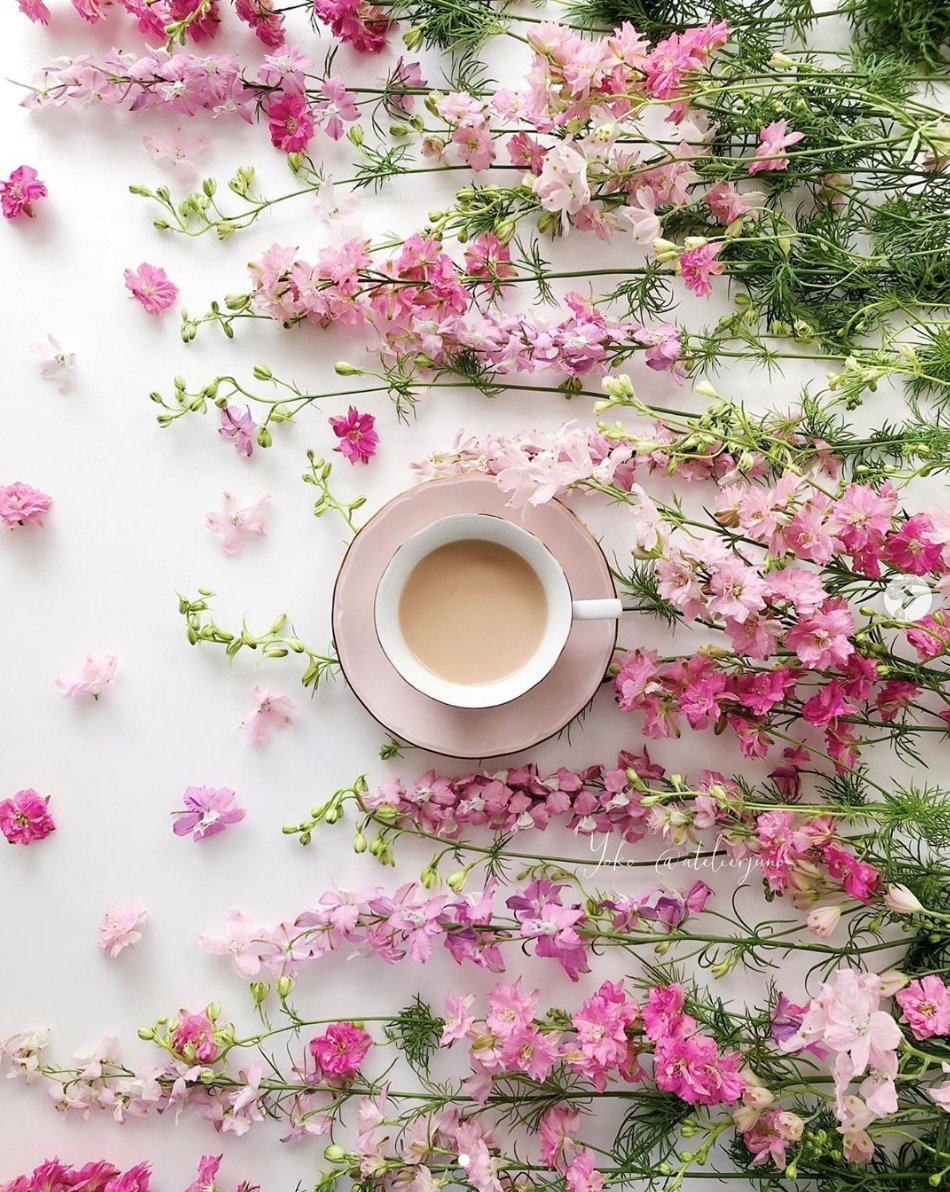 TeaProUK's tweet image. Love tea? (iced tea counts as well 🙃) 

Then you NEED to check out and follow these amazing tea Instagram accounts!
teapro.co.uk/most-beautiful…

#FridayFeeling #teapro #FridayMotivation