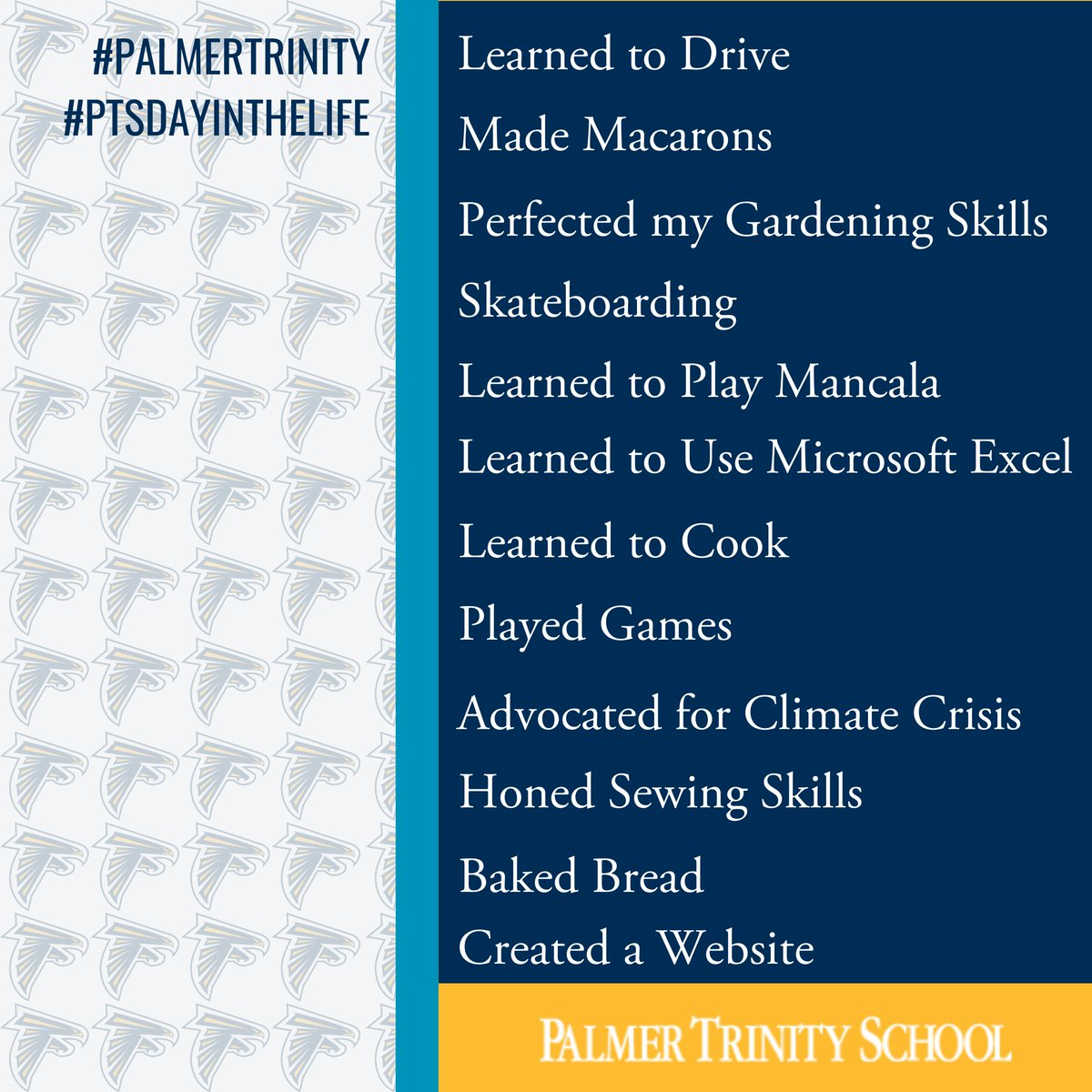 palmertrinity's tweet photo. This summer, #PTSfalcons have kept busy learning new skills and hobbies at home and with family. Here are some of their answers.
#PalmerTrinity #PTSDayInTheLife #Summer #NeverStopLearning #IndependentSchool #Miami https://t.co/OfQqS8zAZl