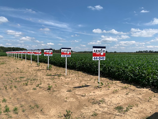ArmorSeed's tweet photo. Regular check-in on the good-looking @ArmorSeed soybean plot going strong on Murray State University ground in Kentucky. So far, so great. #ArmorBeans #startstrong #plotcheck #prettybeans https://t.co/8GqVRtlLSu