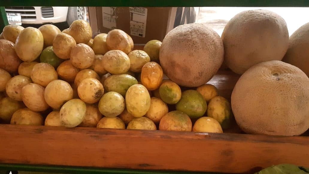 ParquedeFeria's tweet image. 👉🏻 Recuerda que estamos atendiendo en #MercaditoCampesino km 8.5 Carretera a Masaya.

Productos de calidad y a excelentes precios. 

#MEFCCA #consumilocal #verdurasfrescas