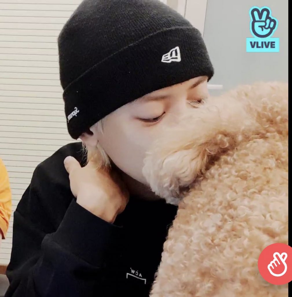 JUSTPCY⭐️❤️ tweet media