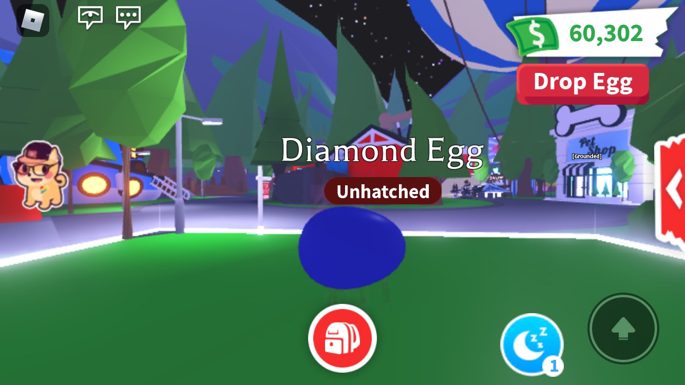 DayjeeePlays on X: If I'm not mistaken, you have to get the golden egg in  order to get the diamond egg next. No idea what pets are gonna be on the  diamond