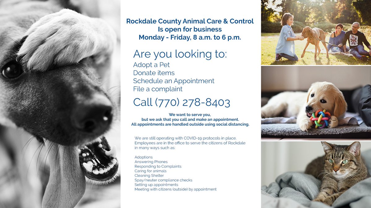 Looking for a rescue? Rockdale County Animal Shelter is now open. Find your new best friend!