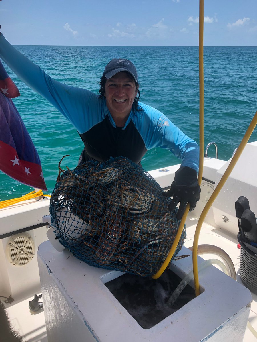 barbiedoll_eyw's tweet photo. A good day I would say! Close to our limit of 250! Tmrws another day! #keywest #blessed #mermaidtime #goingdown https://t.co/aTuHWlans2