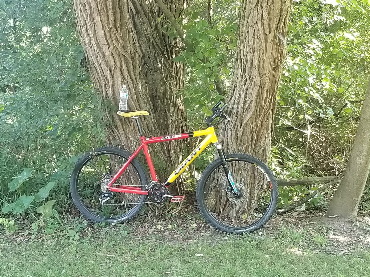 bushcrafter79's tweet photo. In honour of The Giant's first voyage in a out 6 yrs little Turbo Lover and Priest!!!!
Met a nice gal on the trail, she's gay 😢
#MTbday #mtblife #shredfest #needmycamelback
# https://t.co/RmrWx5i4X3
