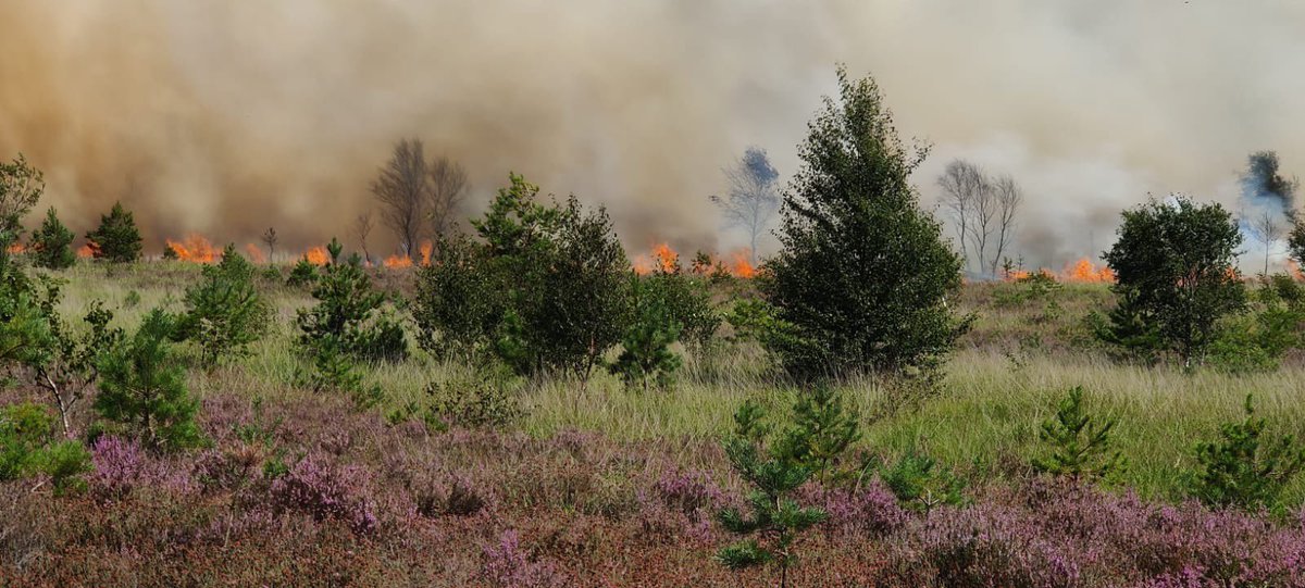 ⚠️We currently have 10 fire engines, 4 unimogs, 2 water carriers and 10 4x4 vehicles in attendance at the #ChobhamCommon fire. Please continue to avoid the area while crews continue to deal with this large fire and follow @SurreyPolice for road closure details. ⚠️