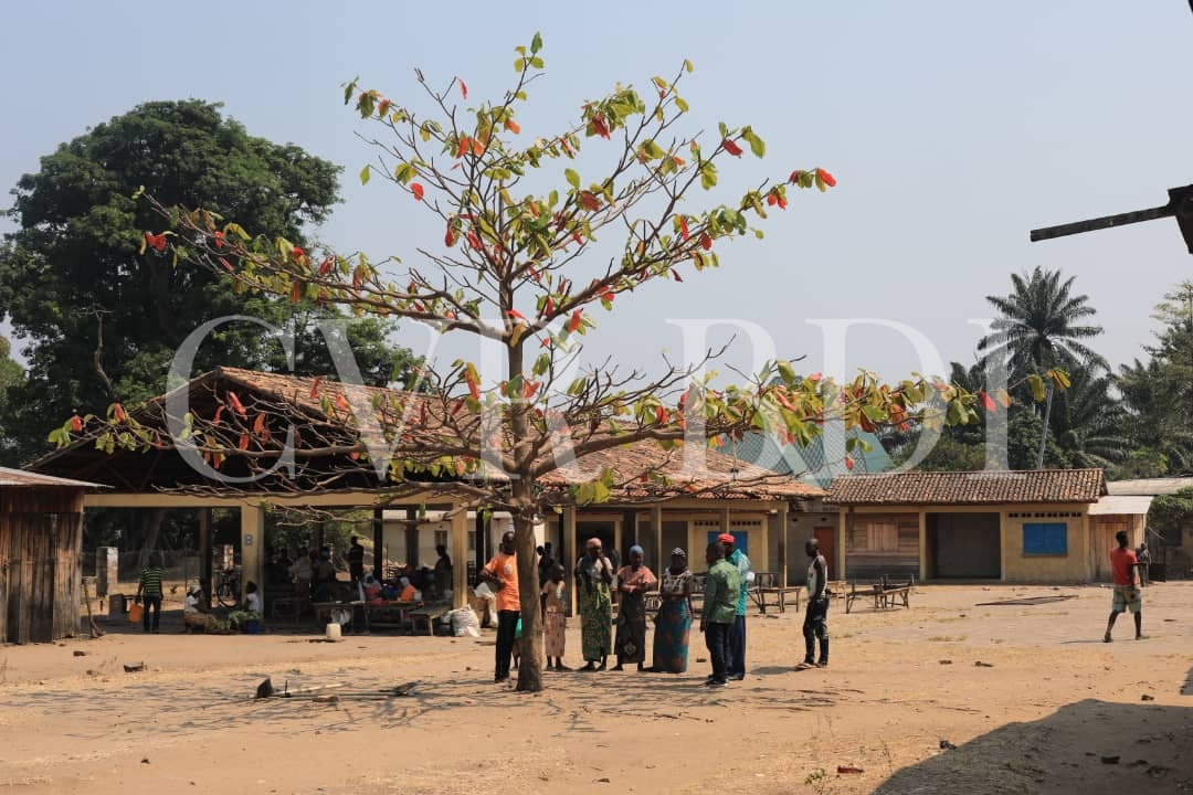 ntaka_willy's tweet photo. @CVR_Burundi  découvre, ce vendredi, un charnier de 1972 à l'intérieur du marché de @Minago, secteur #Kibozi colline et zone  #Minago @RumongeProvince.  Les familles des victimes y avaient planté un arbre mémoriel : #Igikungu .
@TEDDYMAZINA @iwacuinfo @ONU_fr  @Europarl_FR https://t.co/rFAo3Hnm6D