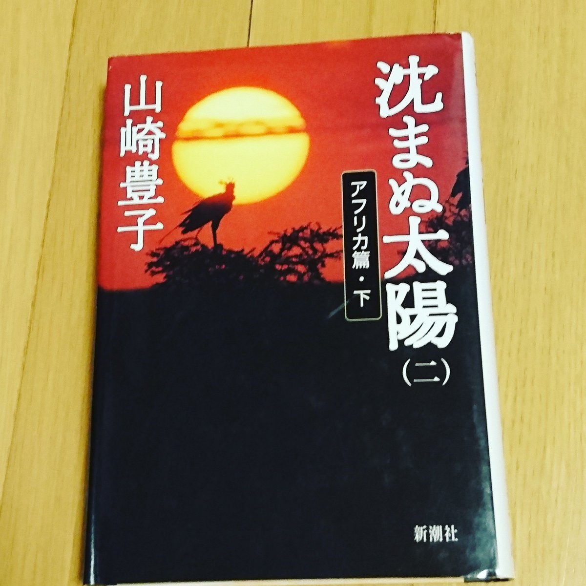 沈まぬ太陽 沈まぬ太陽