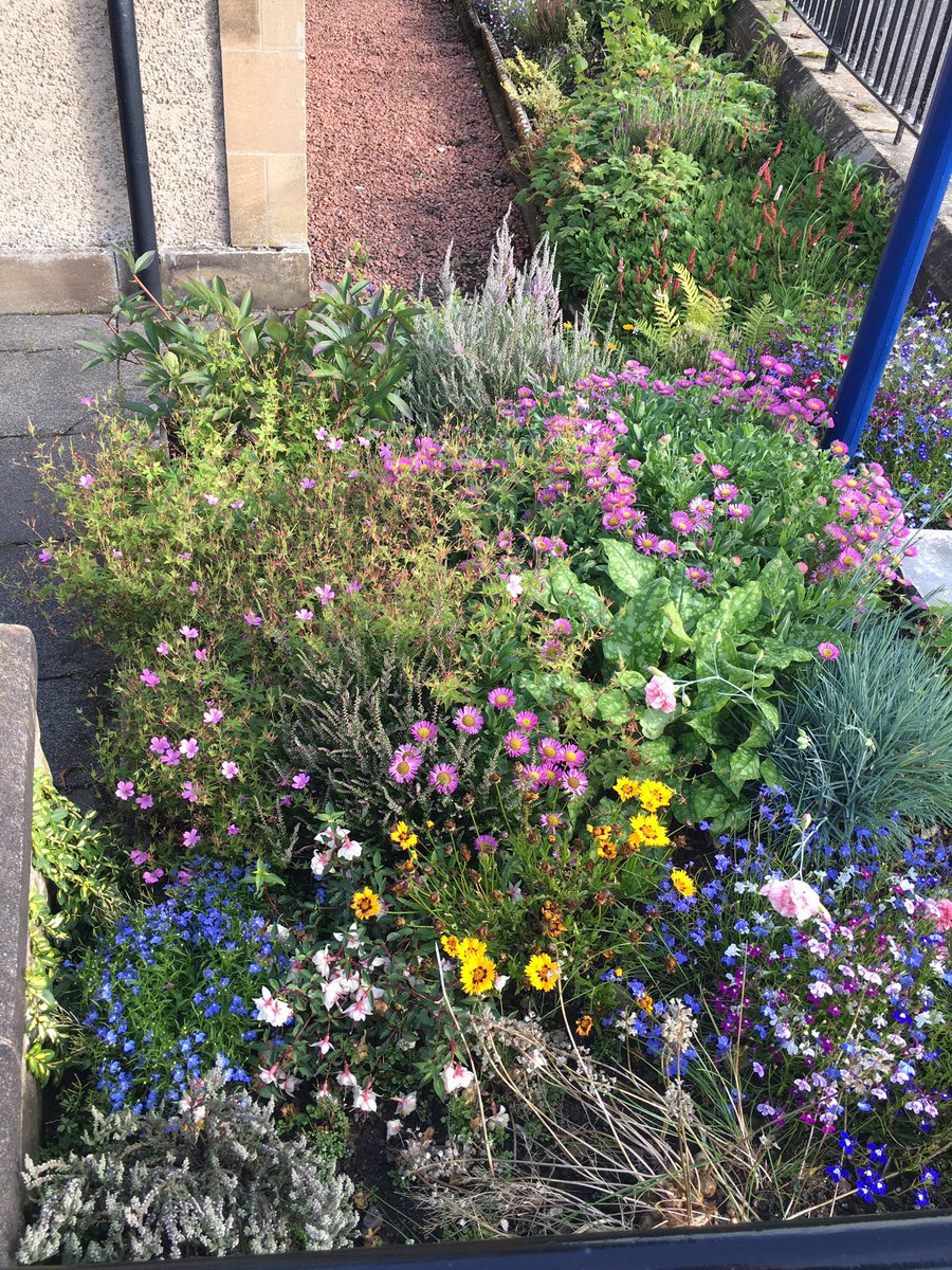 IanBeattie15's tweet photo. Church garden in bloom @stmarysmwell https://t.co/mMBs5OSeRT