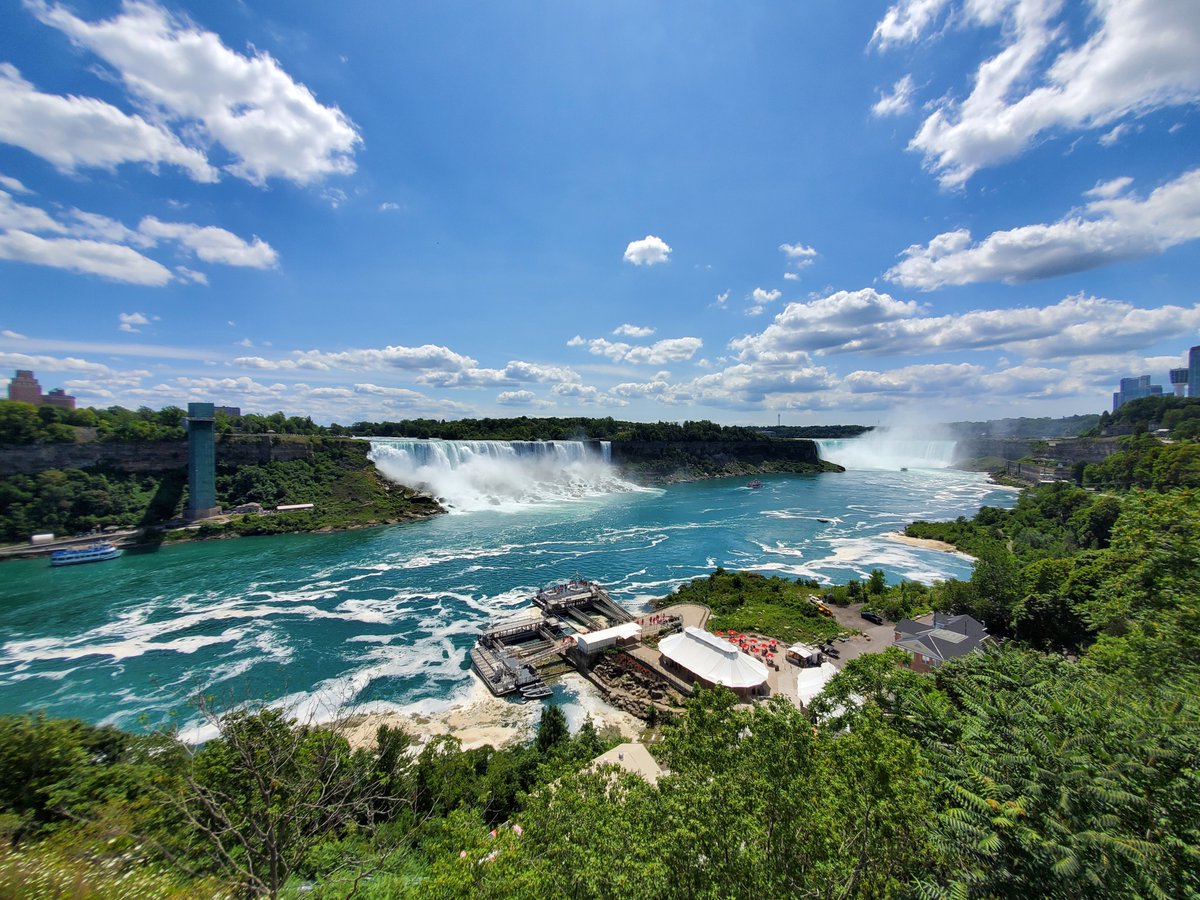 MagTours tweet media