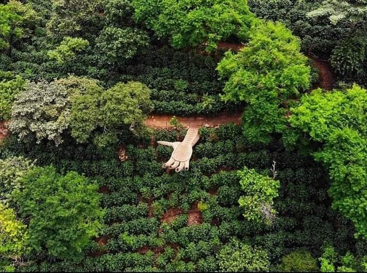 ldbrrts's tweet image. Esto es un mirador en Santa Ana que honestamente no sabía que existía. 

Lo comparto para quienes están igual que yo. Muy ingeniosa la gente que lo construyó.
