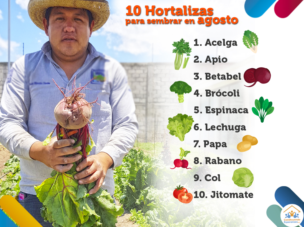CEsperanzas's tweet photo. Si planeas iniciar un huerto o ya tienes uno, el mes de agosto es ideal para sembrar diferentes hortalizas, ya que cosecharás antes de que sea invierno. 🥦🍅☺️👩🏻‍🌾 #ConstruTips https://t.co/lZdLu7d5ko