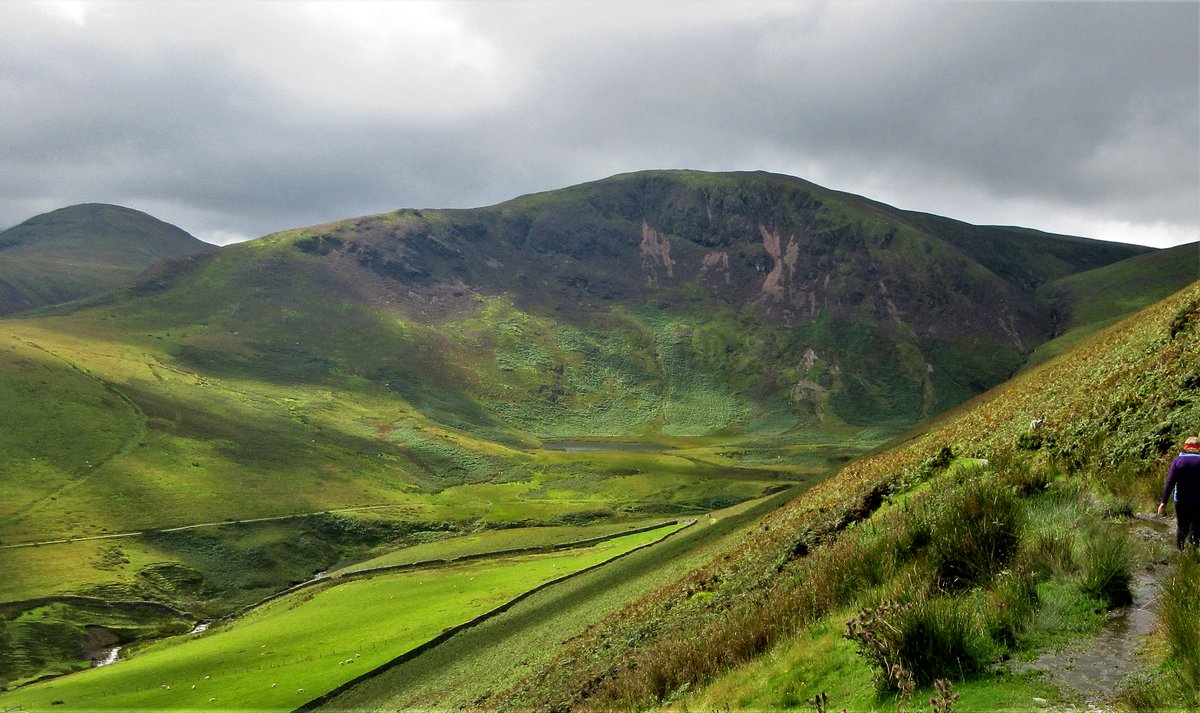 #Loweswater #CoffinRoute #HighNook walk this morning
- #Waymarkers between #FangsBrow & #HighNook
- #Loweswater view from #CoffinRoute path
- 2 travellers heading east
- #HighNookTarn ahead