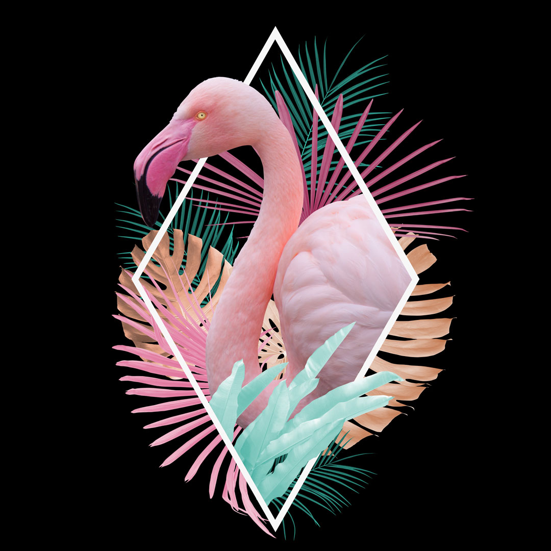 WALLPAPER FRIDAY

This is a cool one, wouldn't you say?

As always, if you'd like this as your phone background, head to our Instagram Stories and take a screenshot.

Have a great weekend everyone!

#Wallpaperfriday #Jointheflock