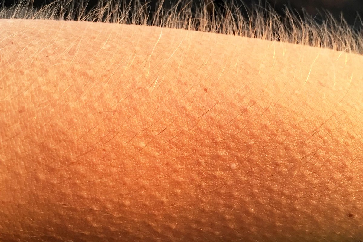 Taniyasingh2001's tweet photo. Me after hearing #binod 😂🔥
It's an emotion🔥
#MEMES https://t.co/9RrbrO02ru