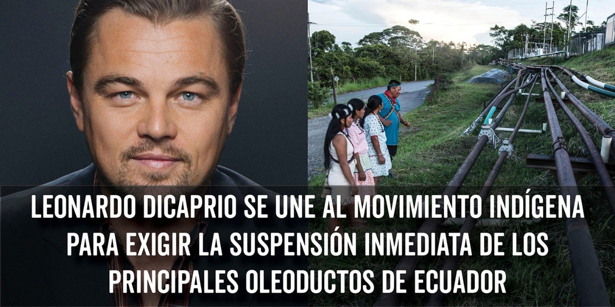 Xramerica2030's tweet photo. Gracias, @LeoDiCaprio, para luchando a proteger nuestro tierra y gente. 

Thank you, Leonardo DiCaprio, for fighting to protect our land and people. 

#MaximumDisruption
#MaximumLove 

#RebelForLife https://t.co/ErzqMZr26G