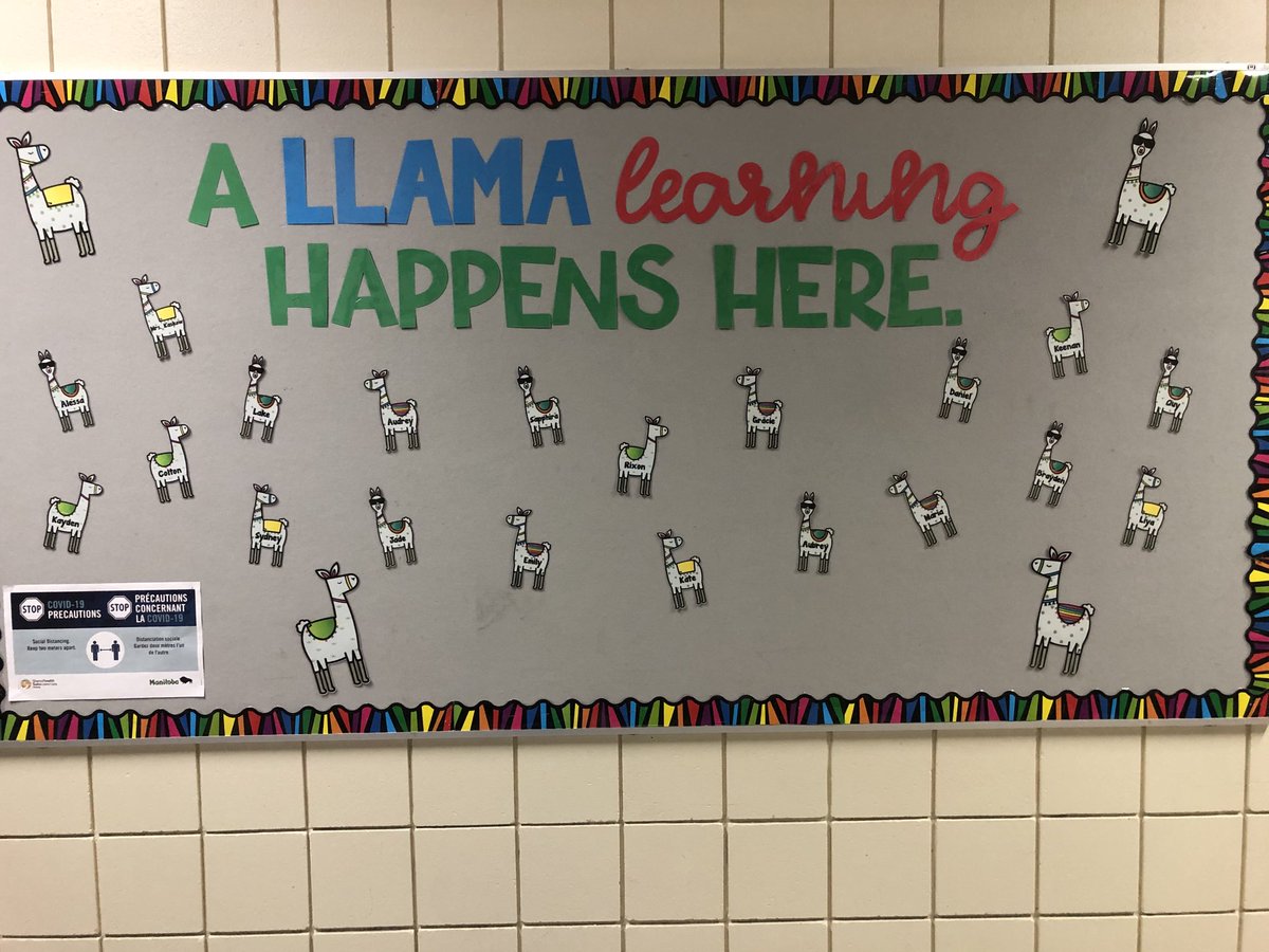 MySneakers1's tweet photo. There’s a lot of summer left, but many @mbteachers are getting ready to welcome students back in September. Room 104 @islandLRSD is starting to look good! #IMissMyClass #Manitoba #teachers https://t.co/bzRN7c1lc7