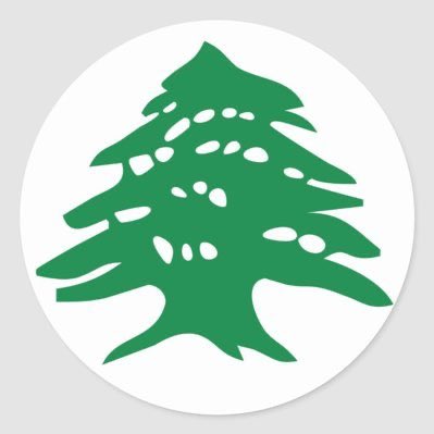 hamoudii's tweet photo. #NewProfilePic https://t.co/06ta29XuxW