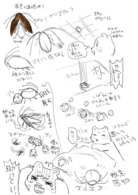 前に夢で見ためちゃめちゃ嫌な虫のメモが出てきたんだけど今見てもめちゃめちゃ嫌 右上から読む 