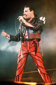 Freddie Mercury as Jumping SpidersA Thread:1/ Phidippus johnsoni (Author: Kaldari, Wikipedia, Creative Commons)