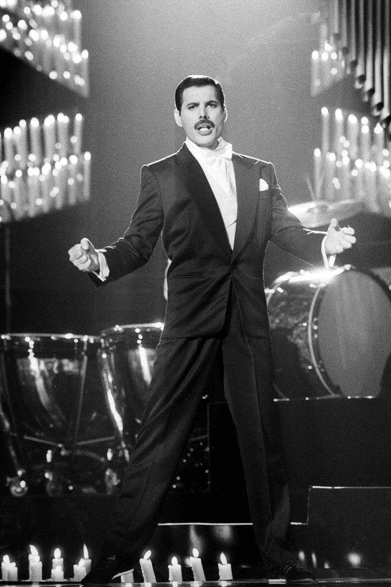 3/ Phidippus audax, Bold Jumper (Author: yours truly)