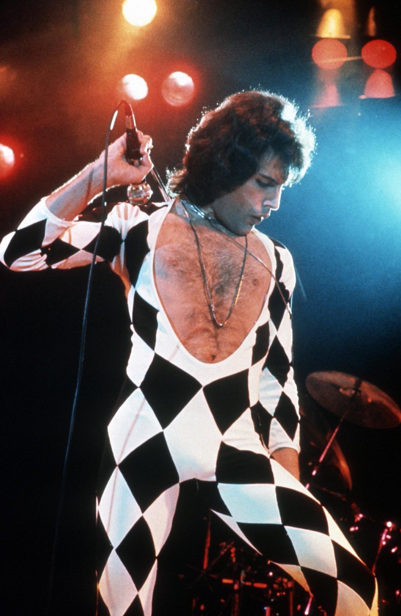 5/ Paraphidippus fartilis (Author: cyan0s1s, Reddit, Reddit - spiders - An absolutely adorable fluffy white regal jumping spider  https://www.reddit.com/r/spiders/comments/fxxvk6/an_absolutely_adorable_fluffy_white_regal_jumping/)