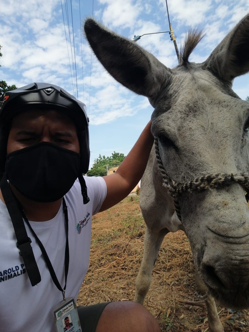HolyAnn3's tweet photo. Gracias a @CarabinerosCol que fueron los únicos que se preocuparon por que fuera verificado por un veterinario e hidratarse. Solicitamos a @PoliciaCmarca que nos ayude para que #AlcaldiaGiradot realice el proceso con #DATMA https://t.co/4JqUMhIRq0