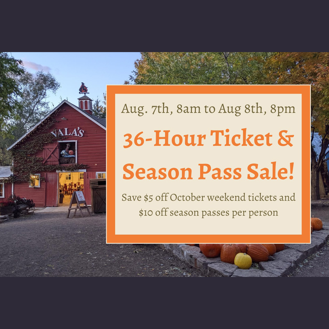.<a href="/ValasPumkinPtch/">Vala's Pumpkin Patch</a> 🎃 36-hour sale for 36 years of Vala’s
Don't miss out on these season pass and ticket deals! Hurry, quantities are limited! #PumpkinPatch #GoSarpy
➡️ valaspumpkinpatch.com/buy-tickets/