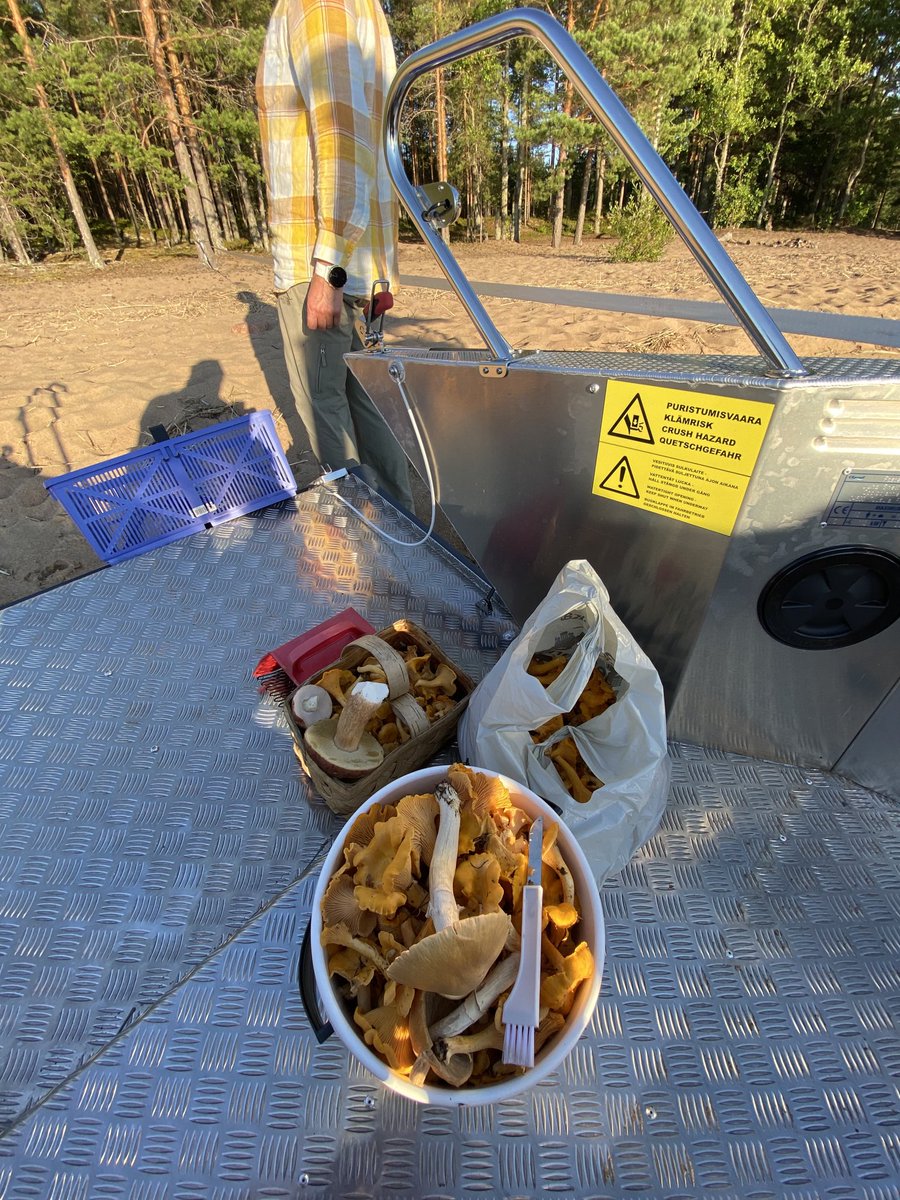 YrjoAho's tweet photo. #sieni ä #Saimaa lta #Suomiveneilee #Fasterboats ping @suviturtiainen https://t.co/3ooaAQLp9f