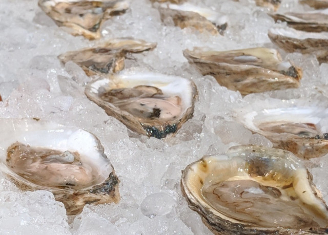 A Framework for the Future

Researchers collaborate on a strategy for sustainable aquaculture, the world’s fastest growing food sector

eemb.ucsb.edu/news/all/2020/…
