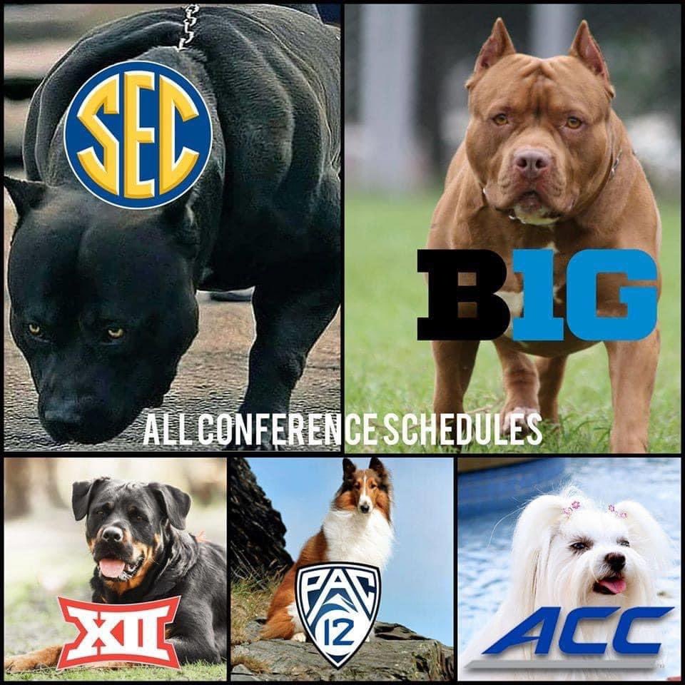 Coach_ZayWill's tweet image. 😂😂😂accurate? #bottomright 🏈