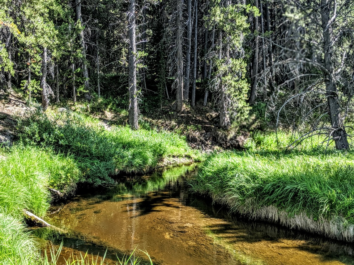 TroutUnlimited's tweet photo. Prospecting for #wildtrout by wandering along "blue lines" on the map is like treasure hunting. The treasure might be small, but it can still make your day. https://t.co/sMAN3CL6zE #BlueLines @YellowstoneNPS https://t.co/mgzyry3vTt