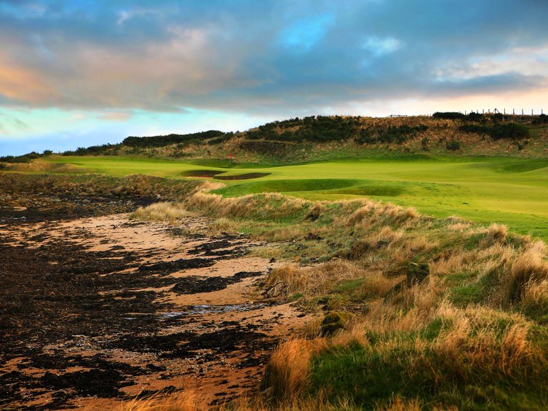 Andy McGill tweet media