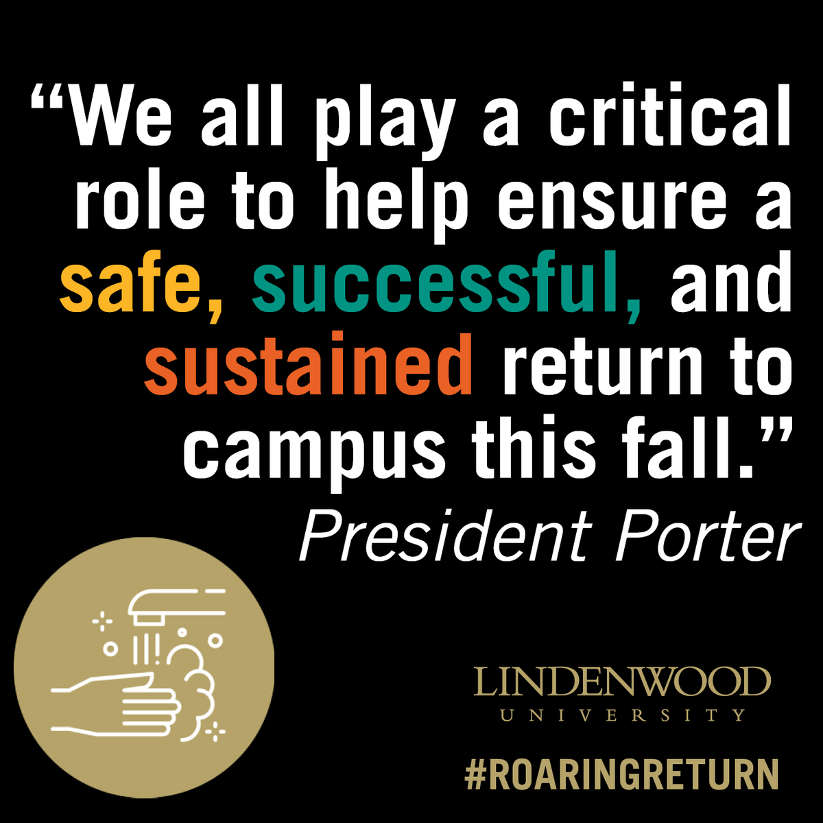 LindenwoodU's tweet photo. By working together, we have the power to help make Lindenwood as safe as possible this fall! #LionsUnited #RoaringReturn https://t.co/JDYicCpFCd