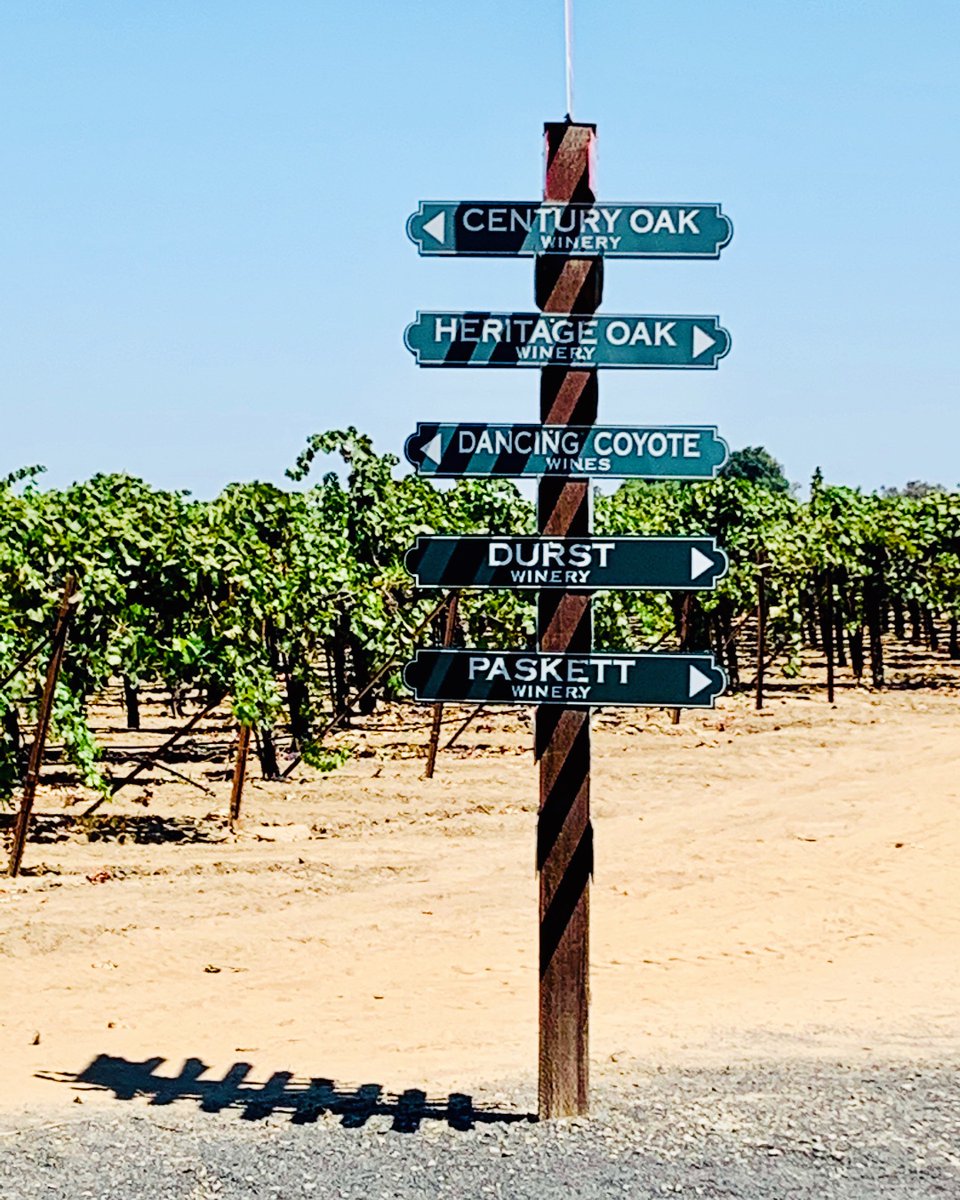 Just in case you forgot where we are……🌴 follow the palm trees down Acampo Road 📍

#signs #signspotting #tastingroom #winetasting #outdoorwinetasting #lodiewinetrail #dancingcoyotewines #lostsloughwines