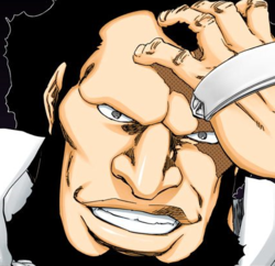 C'est la fin de se second Thread sur les Sternritters, la prochaine fois je vais parler de Driscoll Berci, le Sternritter ''O''