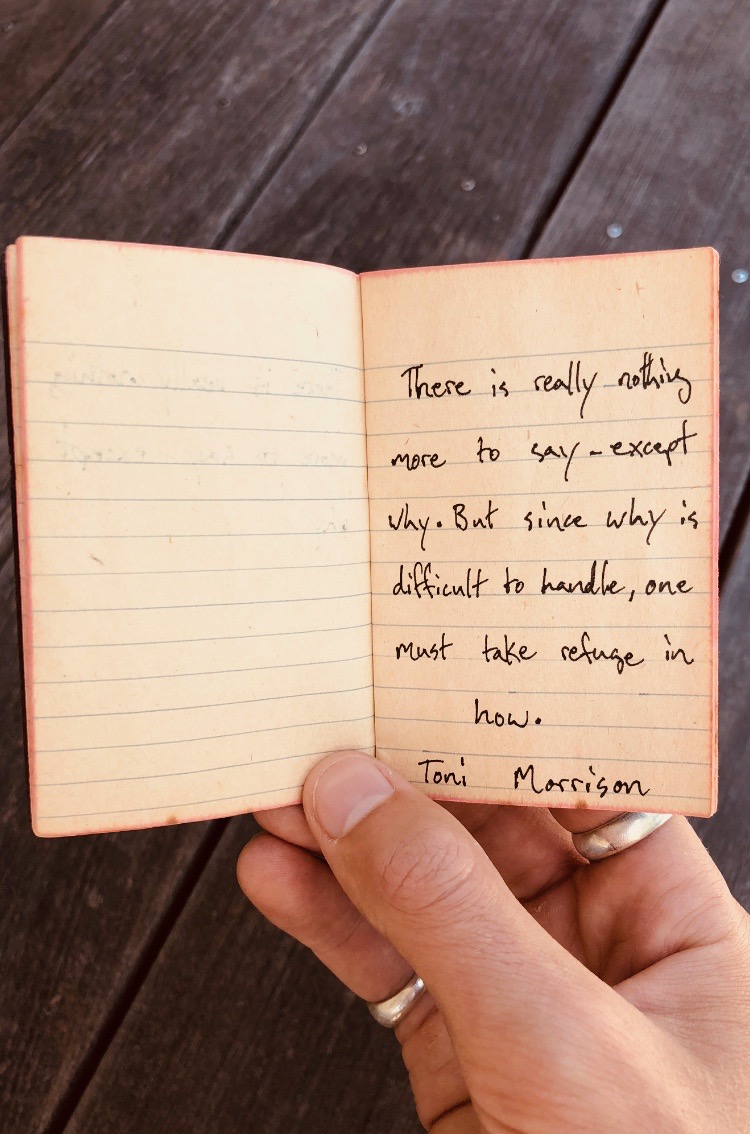 One of my favorite quotes from one of my favorite authors. 

#ToniMorrison #stav #Sonoma