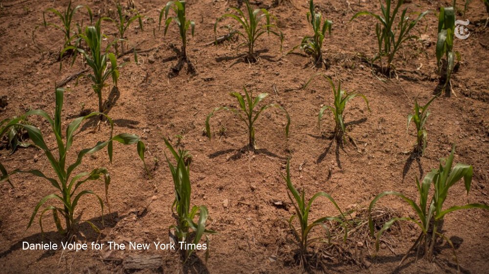 Eduardo Roque, an indigenous farmer in Guatemala, lives in one of the poorest and driest corners of the Americas, known as the Dry Corridor, where rising temperatures are ravaging the land.Water has to be rationed. His harvests have failed 3 years in a row because of drought.