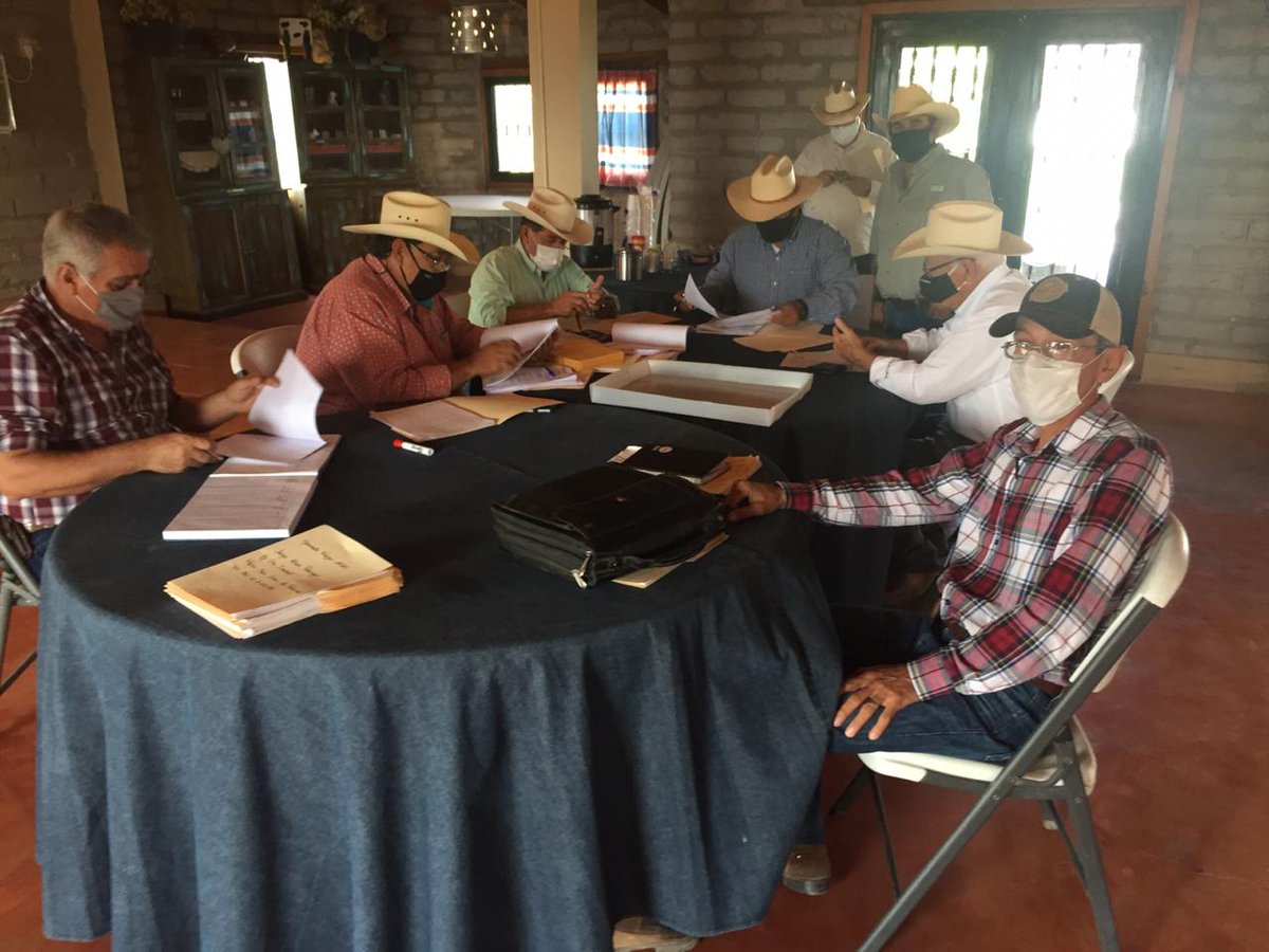 SEDERCOAH's tweet photo. Gobernador @mrikelme sigue apoyando a los productores pecuarios. Representando al Secretario @flores_mendez, Subsecretario de Operación Regional @JAlejandroDeLun preside entrega de sementales bovinos en #Muzquiz. Presente alcaldesa @Luisa_A_Muneca #FuerteCoahuilaEs https://t.co/4ybBIv2B34