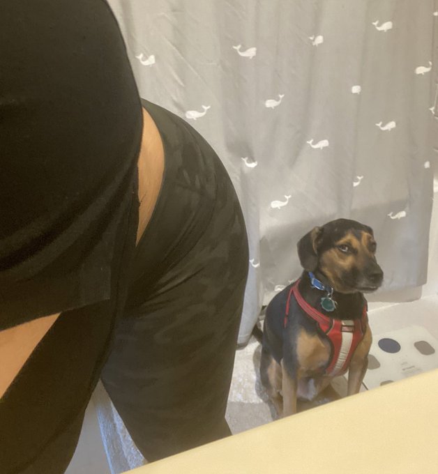 Me: *listening to WAP &amp; twerking while getting ready*  My Dog: &ldquo;I&rsquo;m so tired of your bullshit&rdquo; https://t
