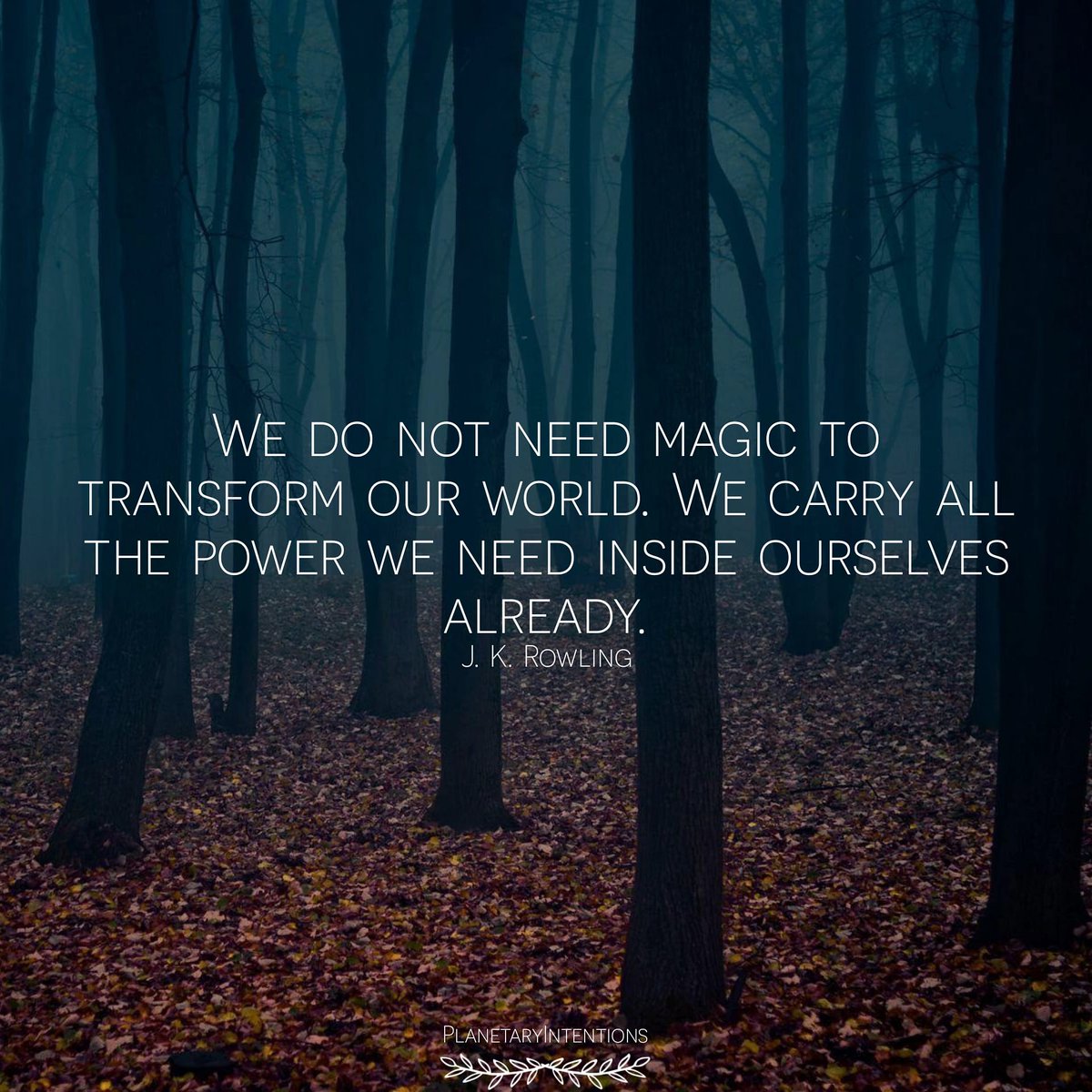 PlanetaryStore's tweet image. 