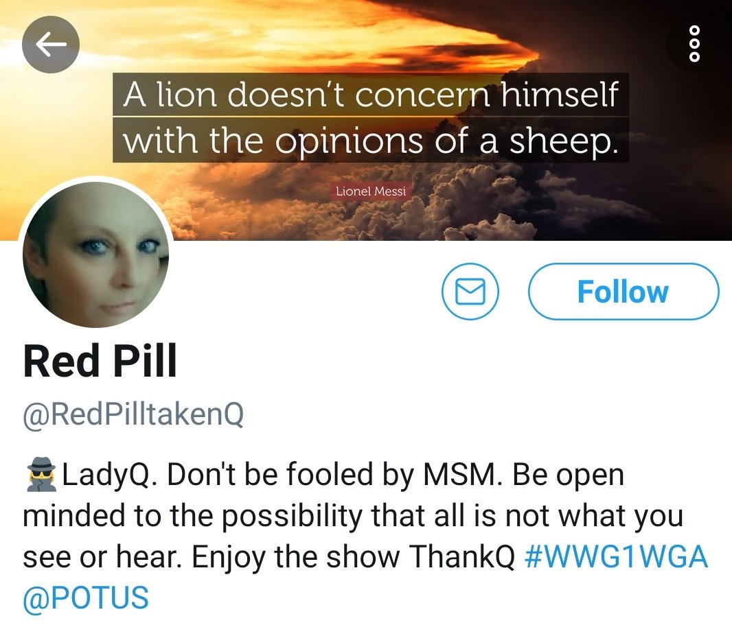 Shami_Witless's tweet photo. @RedPilltakenQ this is you, right?
A lion of QAnon? https://t.co/akOyqjOLLo