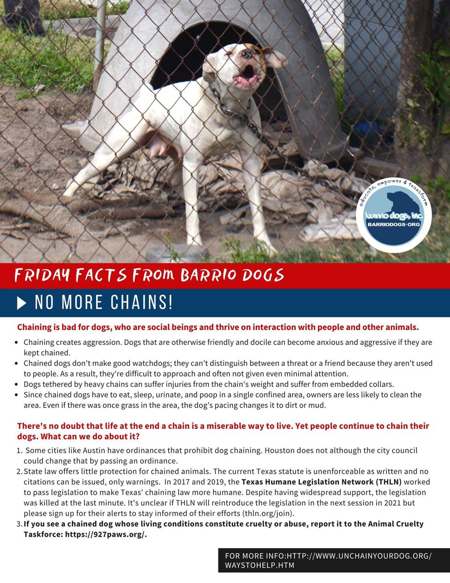 barriodogs's tweet photo. This week's Friday Facts provides valuable talking points so that you can help us spread the NO MORE CHAINS! message. Please take a few minutes to review the graphic and spread the word.
#BarrioDogs #nomorechains #nomorecruelty #educate #empower https://t.co/Wv9Uc7nPEV