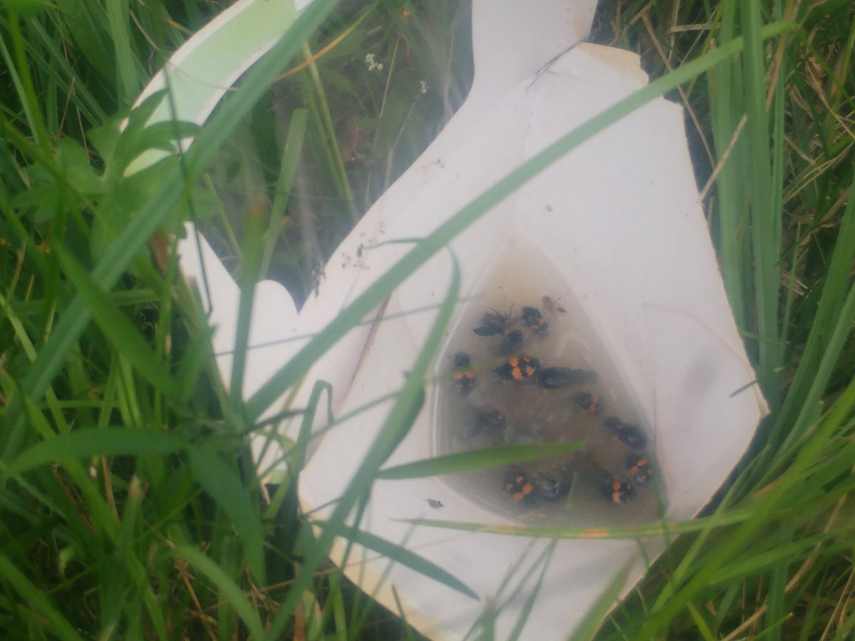 Carl Myhill tweet media